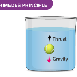 principio de Arquimedes ¿En que consiste el principio de arquimedes?