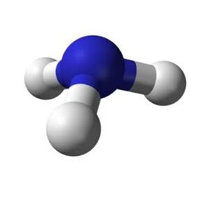 Qué provoca el amoníaco en el ser humano comprar venta precio alquilereconomico peru ecuador mexico bolivia colombia chile brasil uruguay paraguay venezuela comprar venta precio alquilereconomico peru ecuador mexico bolivia colombia chile brasil uruguay paraguay venezuela comprar venta precio alquiler